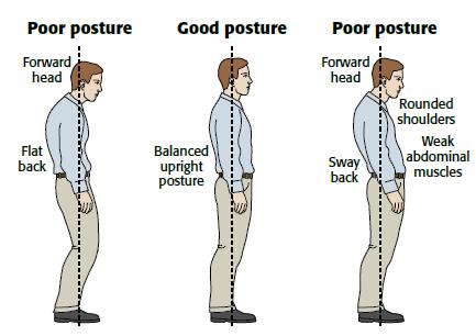 https://physiocure.in/wp-content/uploads/2018/08/posture.jpg